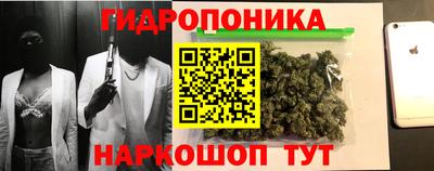 стаф Новозыбков