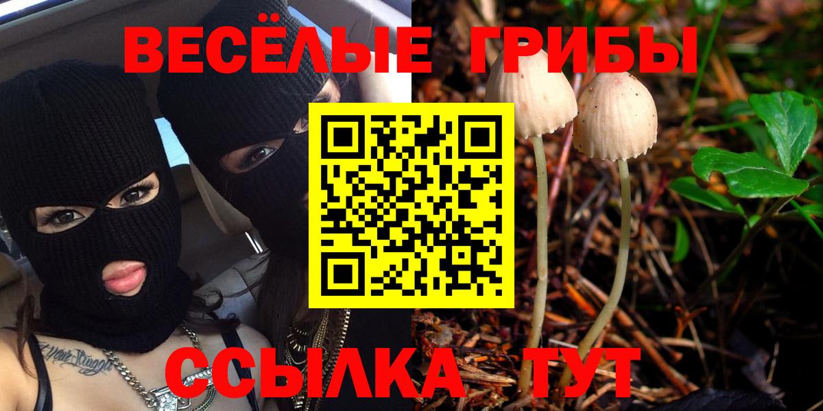 Галлюциногенные грибы GOLDEN TEACHER Соликамск